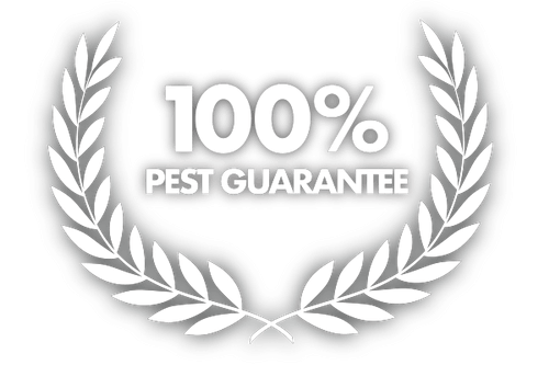 5ce58babc9a8b05e9cd45cce_pest control guarantee-01-p-500