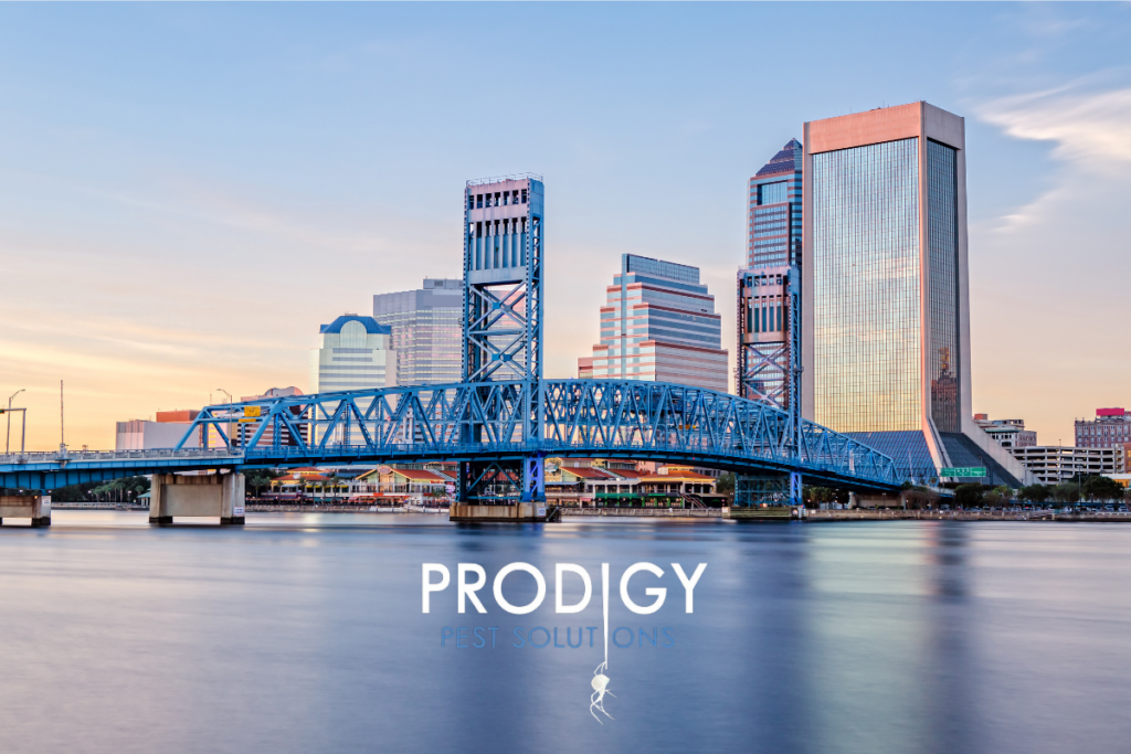 jacksonville, fl pest control