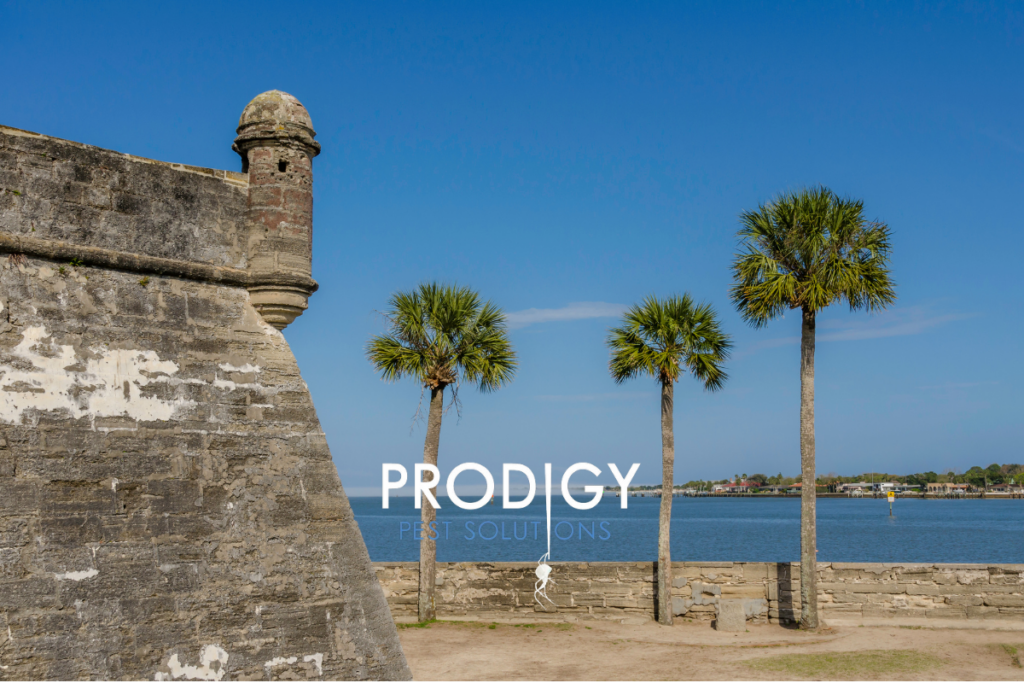 St Augustine, FL pest control prodigy pest solutions