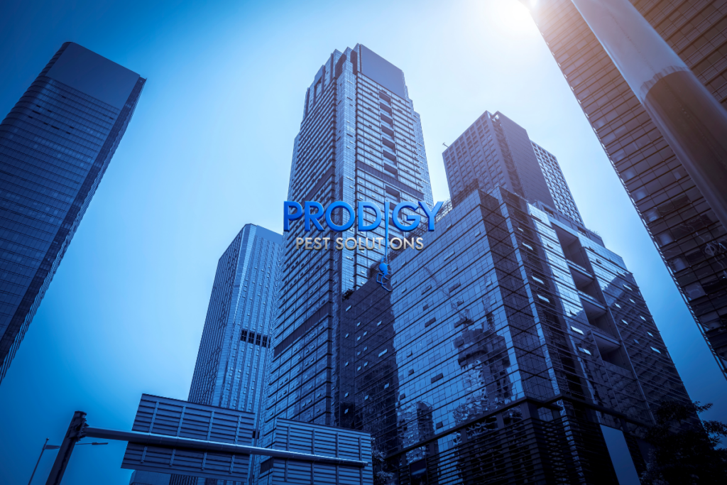 Commercial pest control in Florida