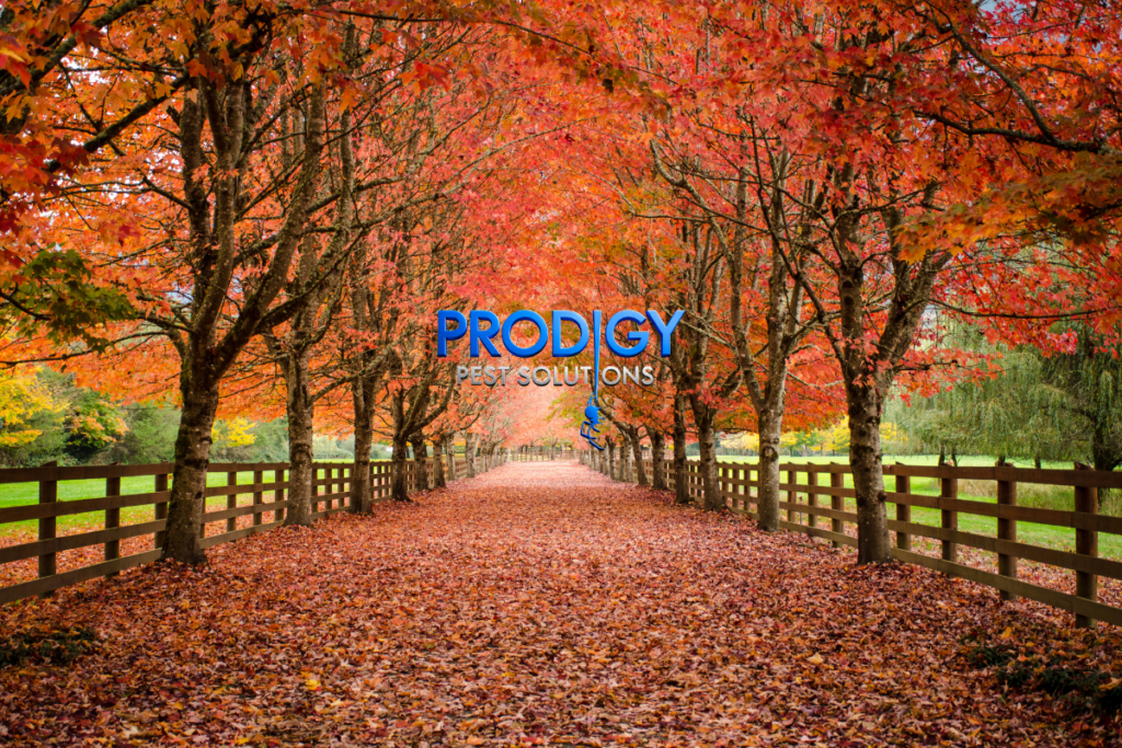 fall pest control