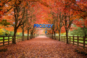 fall pest control