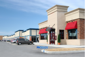 commercial pest control for stores