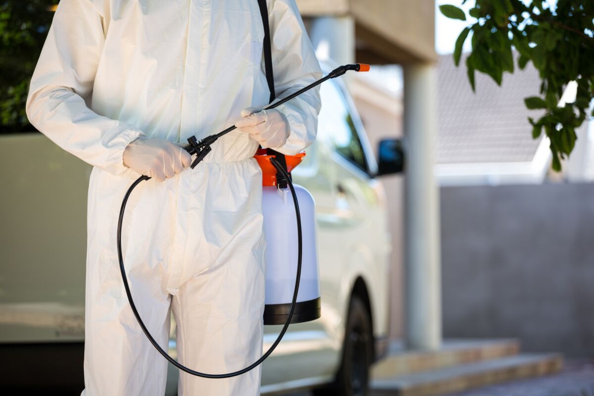 8 Questions to Ask When Choosing a Local Pest Control Service