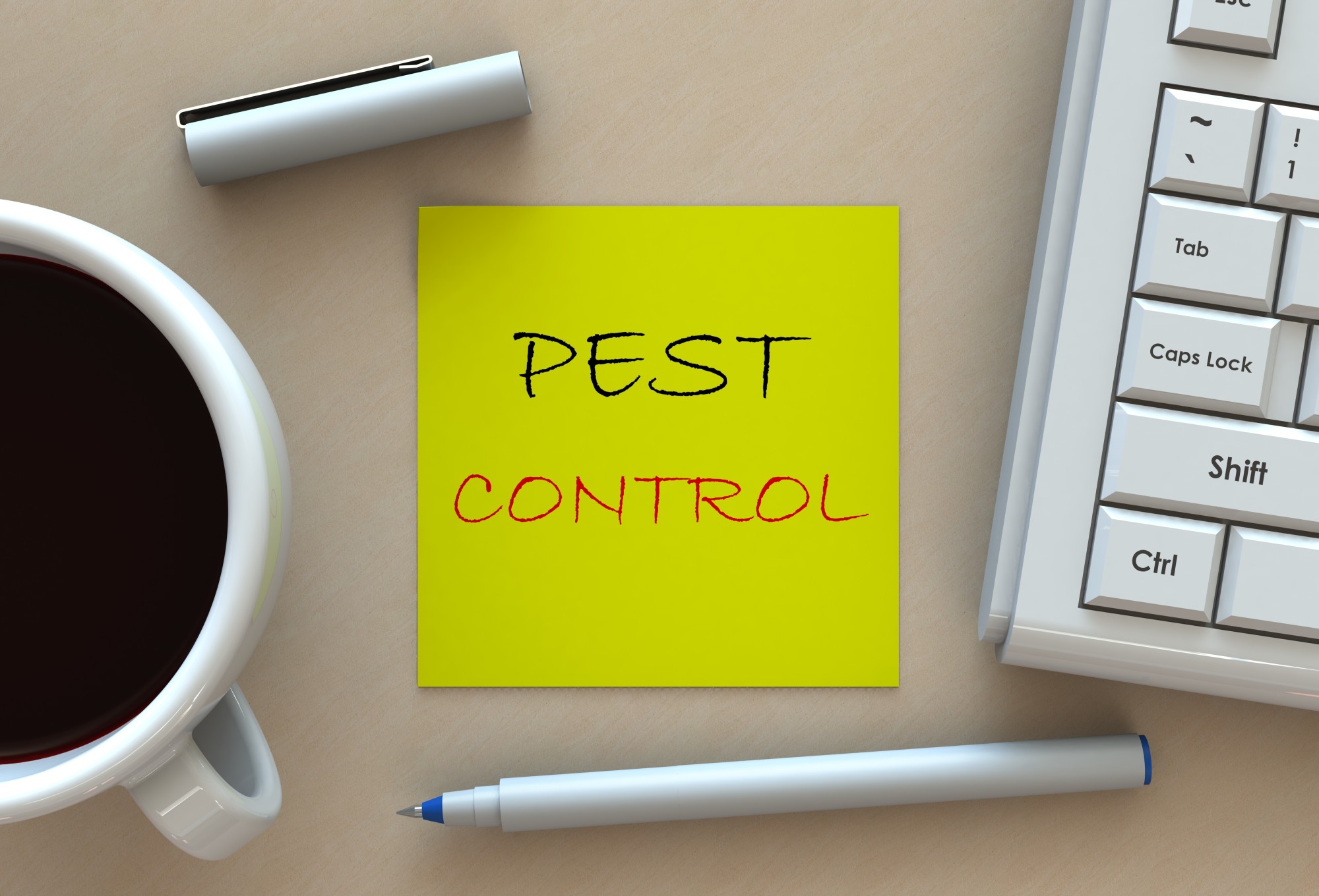 6 Types of Local Pest Control Services in Sarasota, FL