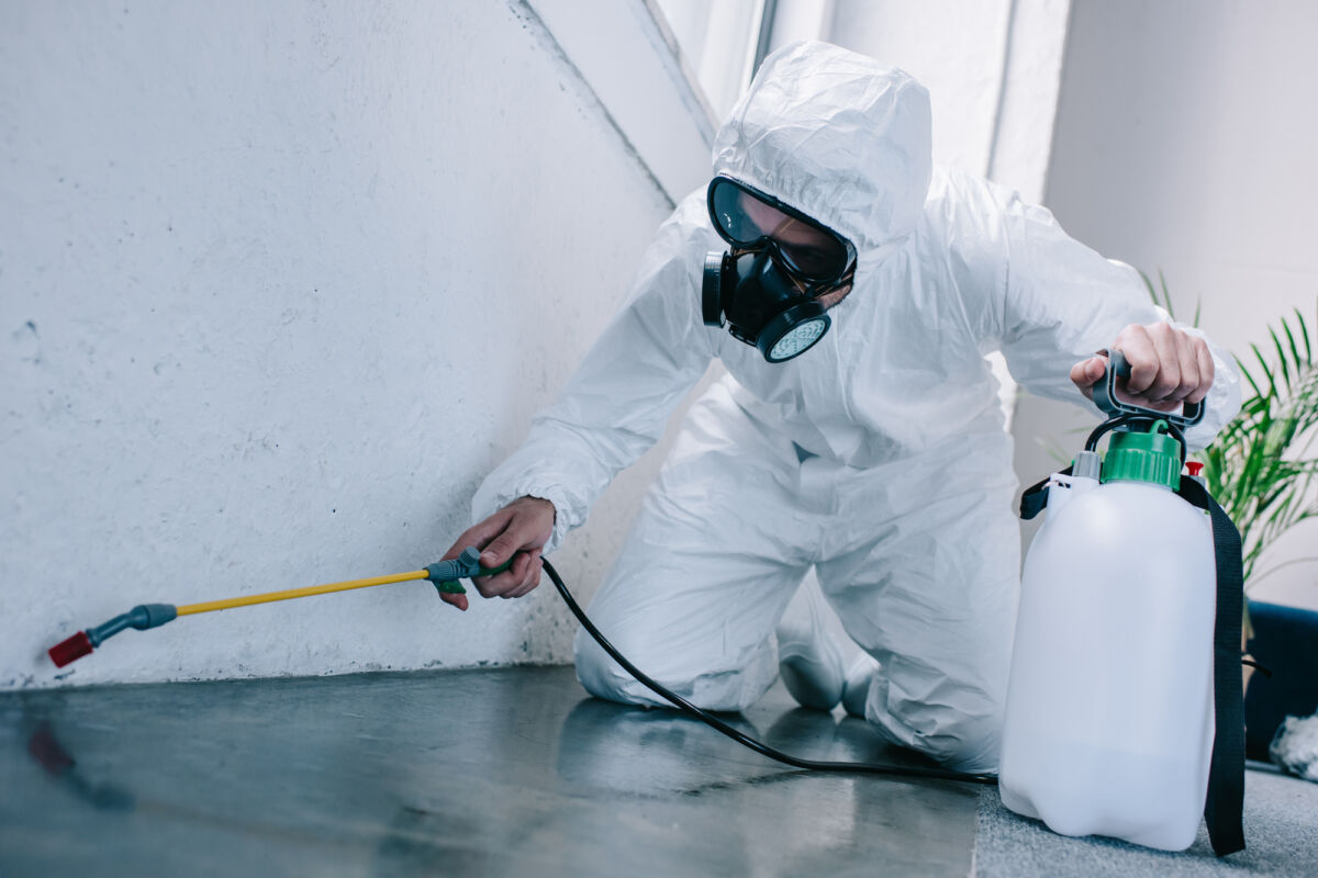 How to Find Guaranteed Pest Control if the Pests Come Back