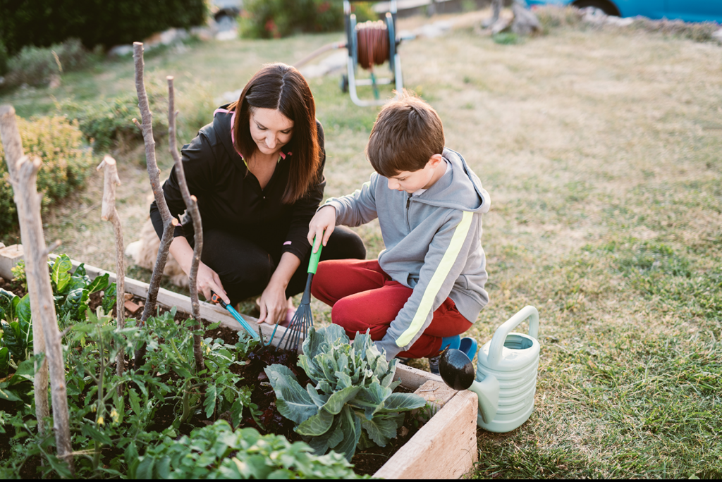 6 Garden Pests and Prevention Methods | Prodigy Pest Solutions