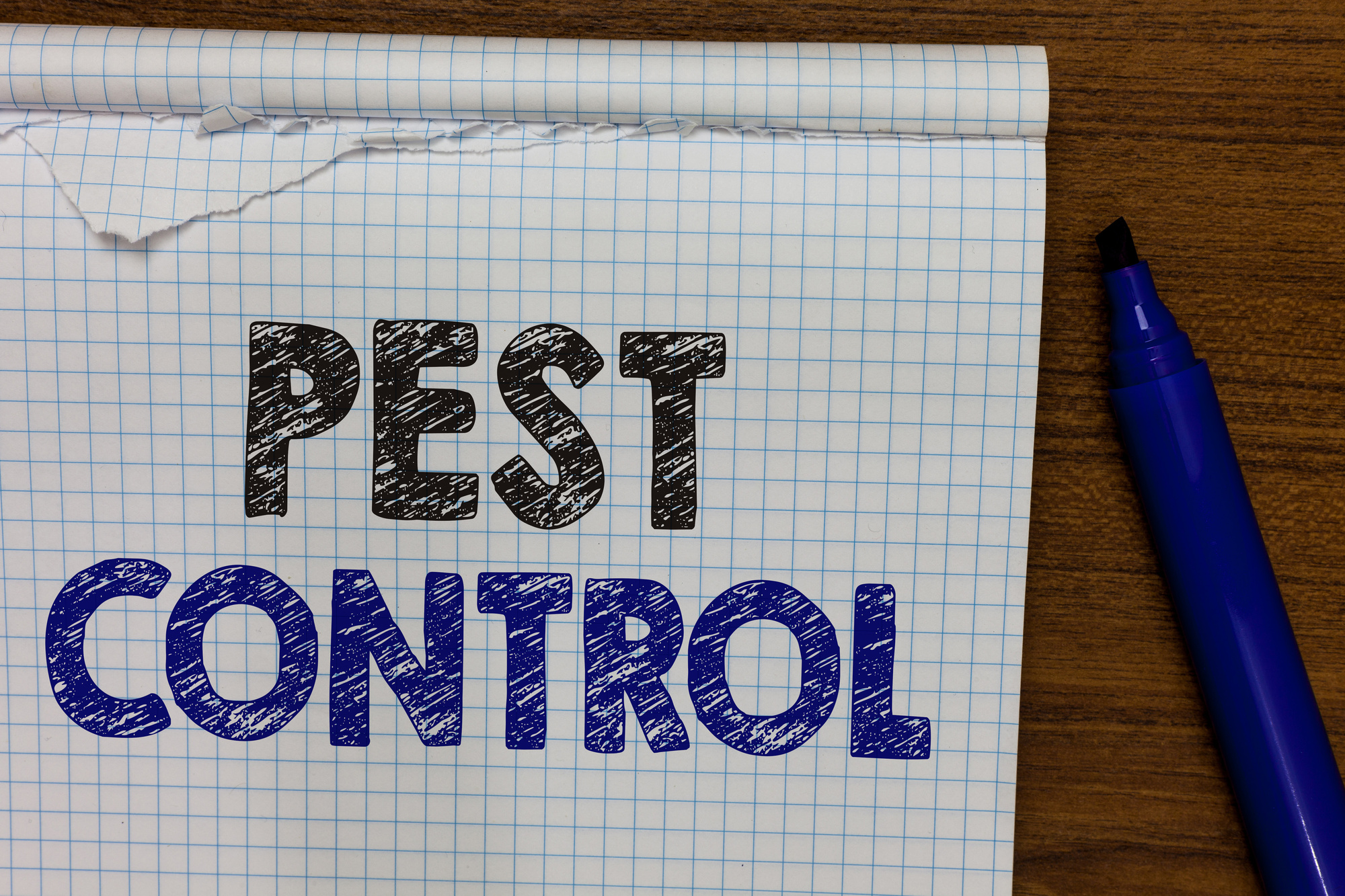 Pests Bugging You? 7 Pest Control Tips You Need to Know