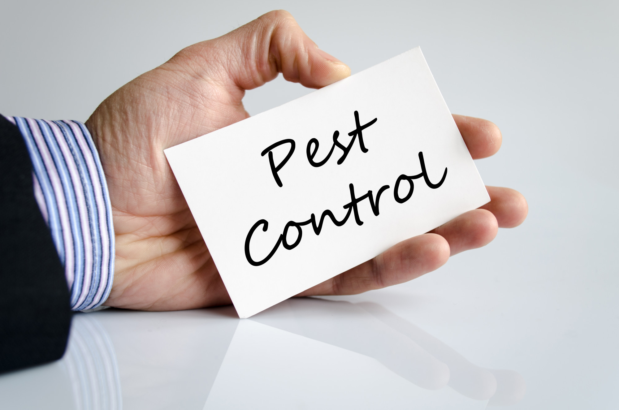 Questions to Ask Pest Control in Bradenton FL