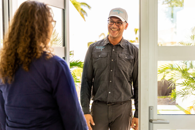 How To Identify Categories of Pests Prodigy Pest Solutions