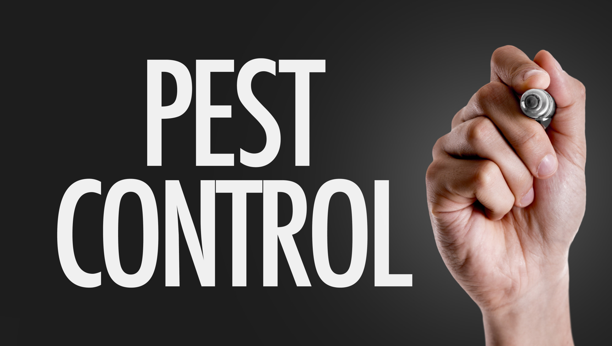 quarterly pest control service